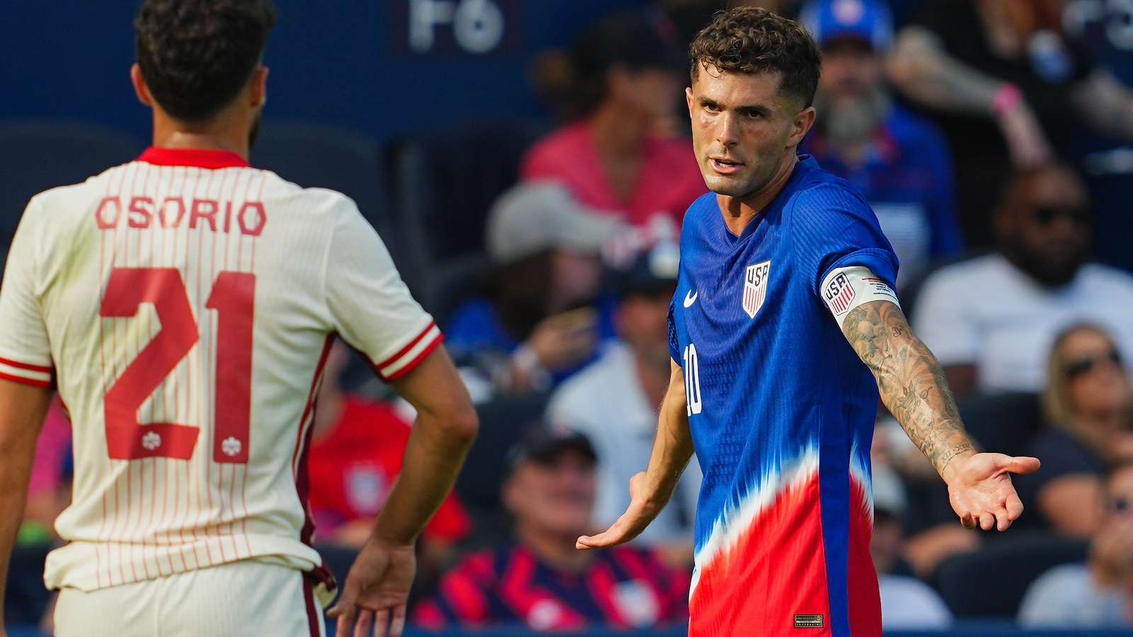 借顽强的斗 借顽强的斗